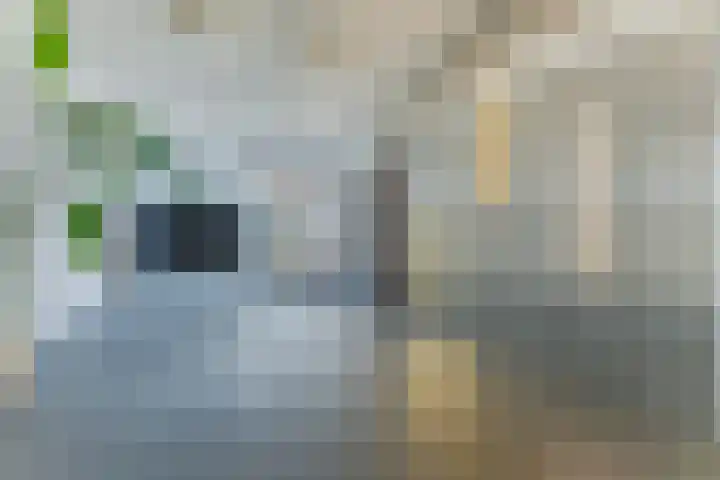 Conny Stuartstraat 15 Amsterdam thumbnail 13