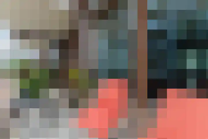 Conny Stuartstraat 15 Amsterdam thumbnail 5