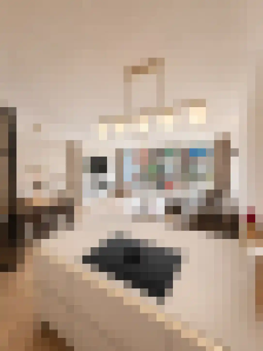 Conny Stuartstraat 18 Amsterdam thumbnail 16