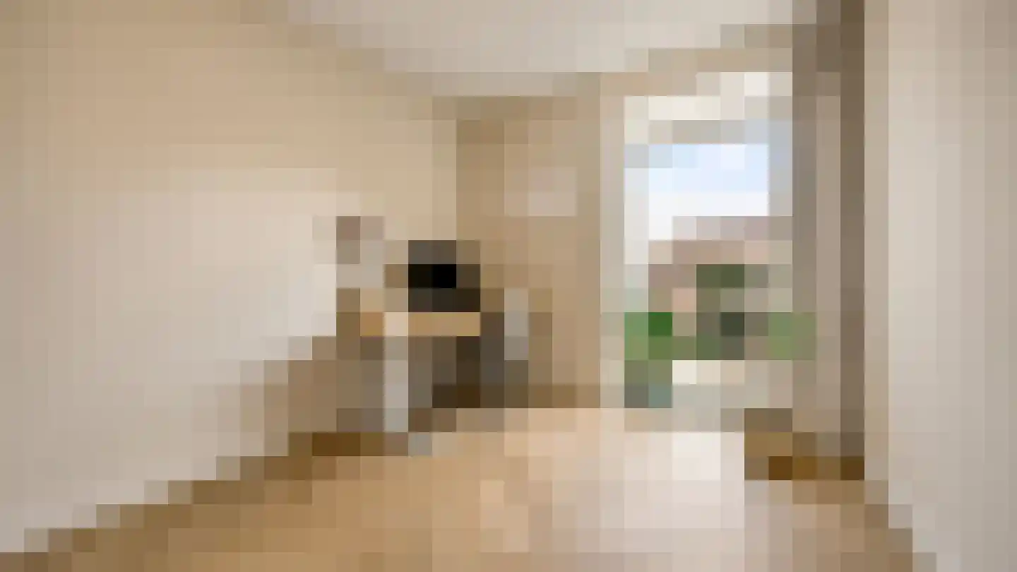 Conny Stuartstraat 18 Amsterdam thumbnail 23