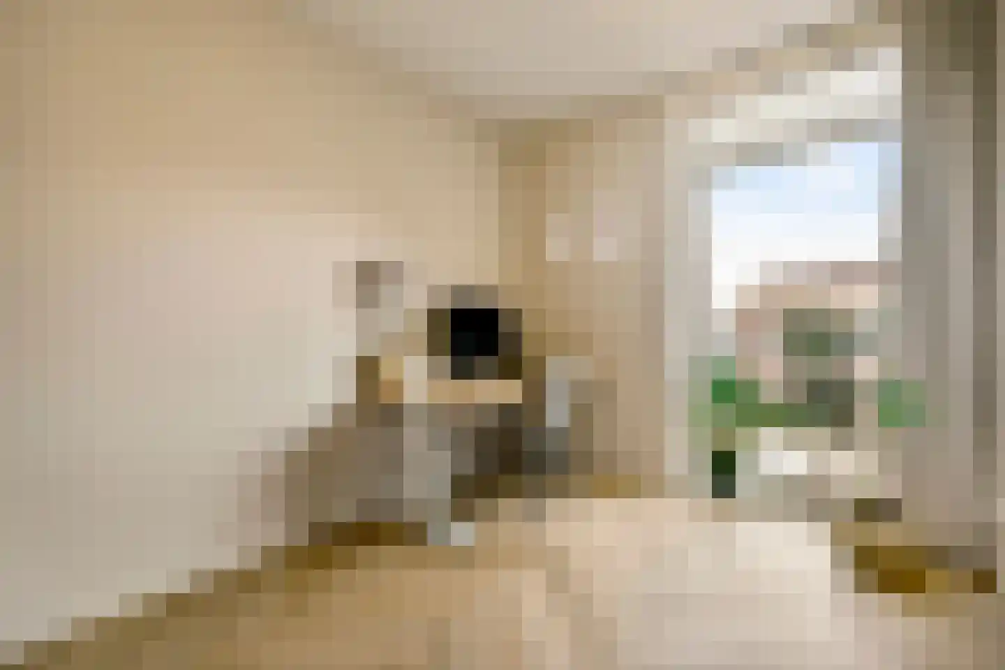 Conny Stuartstraat 18 Amsterdam thumbnail 8