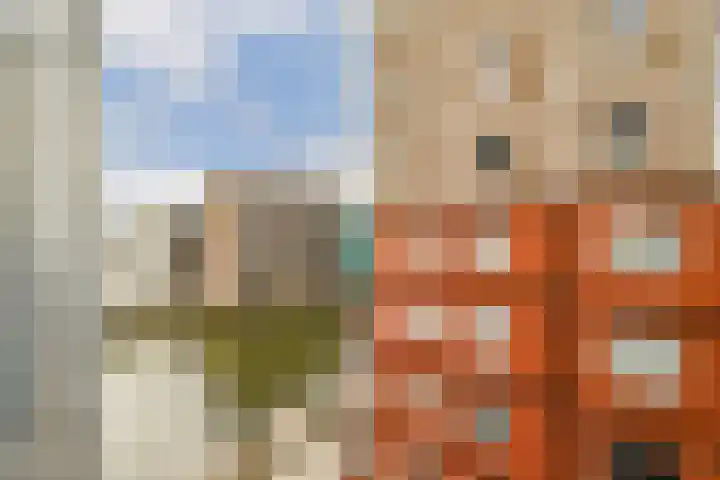 Conny Stuartstraat 22 Amsterdam thumbnail 8