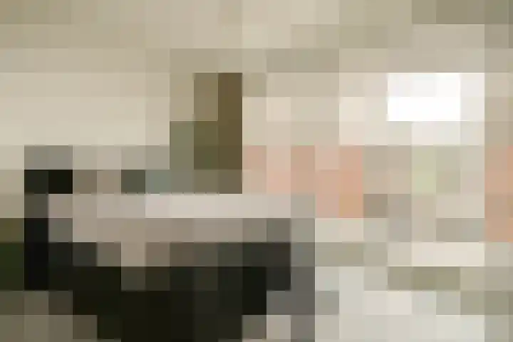 Conny Stuartstraat 22 Amsterdam thumbnail 9