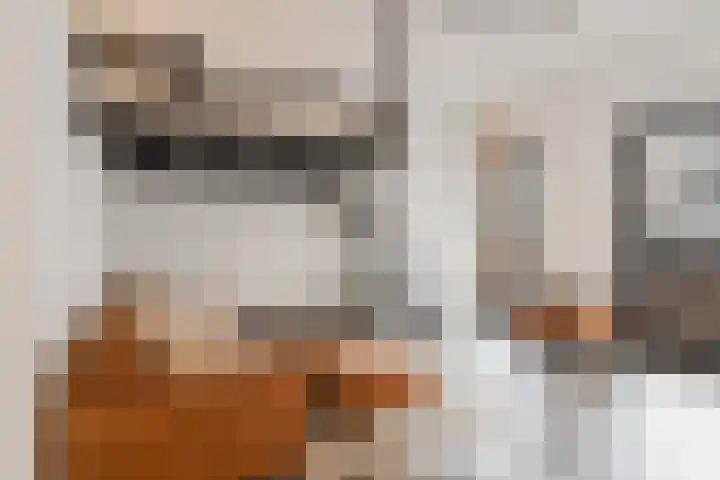 Conny Stuartstraat 3 Amsterdam thumbnail 10