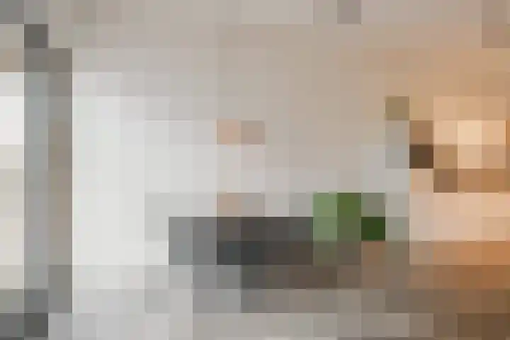 Conny Stuartstraat 3 Amsterdam thumbnail 16