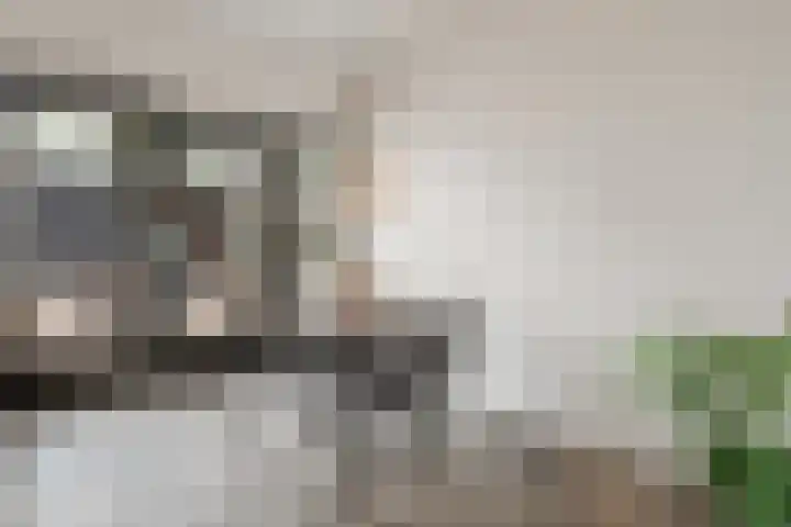 Conny Stuartstraat 3 Amsterdam thumbnail 17