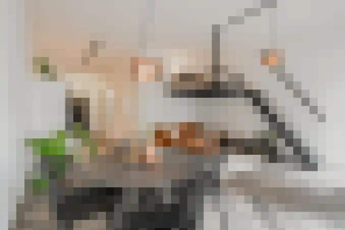 Conny Stuartstraat 3 Amsterdam thumbnail 18