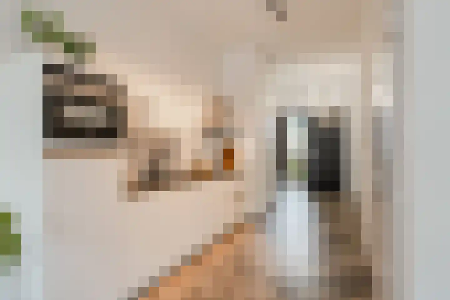 Conny Stuartstraat 3 Amsterdam thumbnail 20