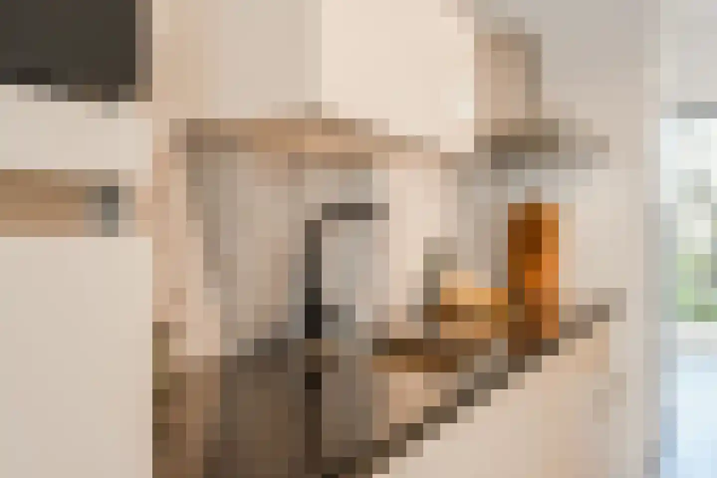 Conny Stuartstraat 3 Amsterdam thumbnail 22