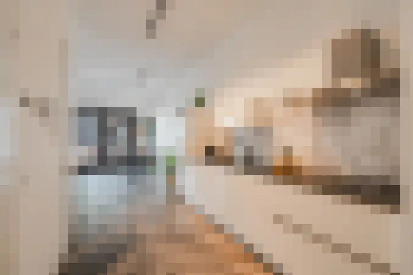 Conny Stuartstraat 3 Amsterdam thumbnail 23