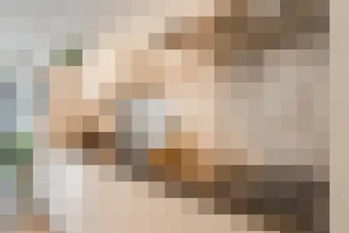 Conny Stuartstraat 3 Amsterdam thumbnail 27