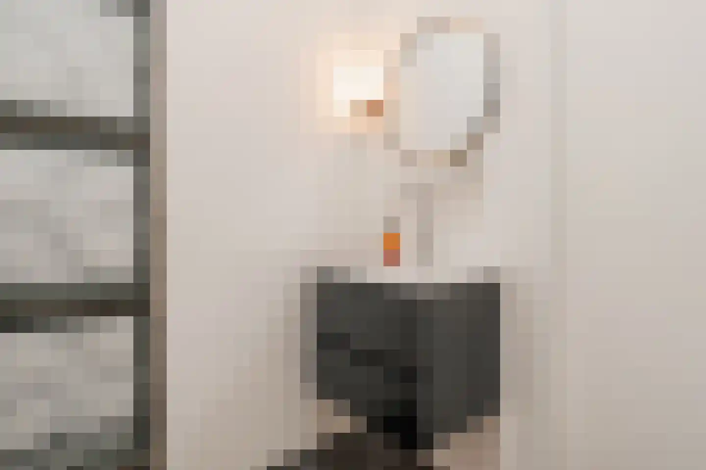 Conny Stuartstraat 3 Amsterdam thumbnail 33