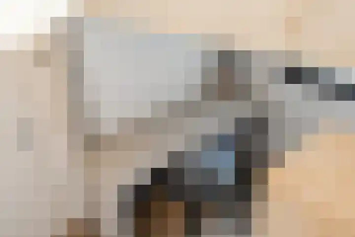 Conny Stuartstraat 3 Amsterdam thumbnail 34