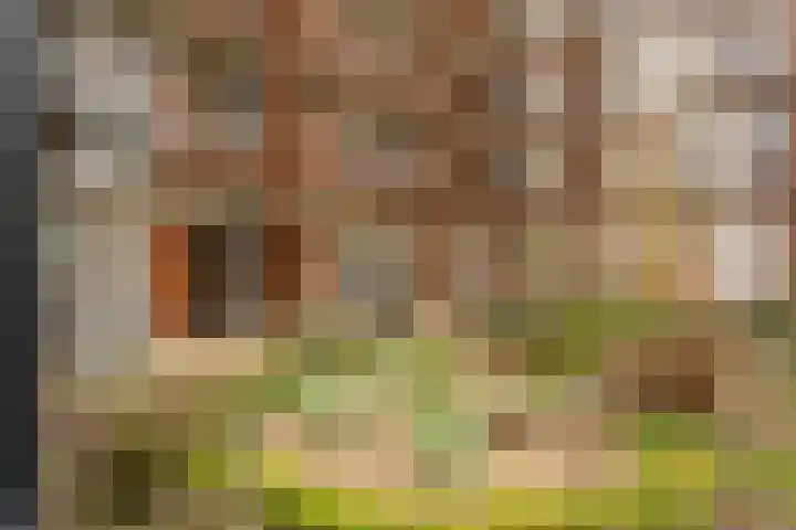 Conny Stuartstraat 3 Amsterdam thumbnail 44