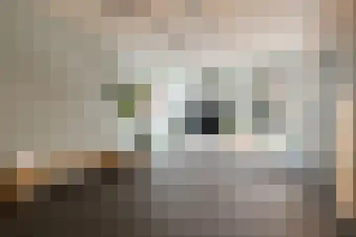 Conny Stuartstraat 3 Amsterdam thumbnail 45