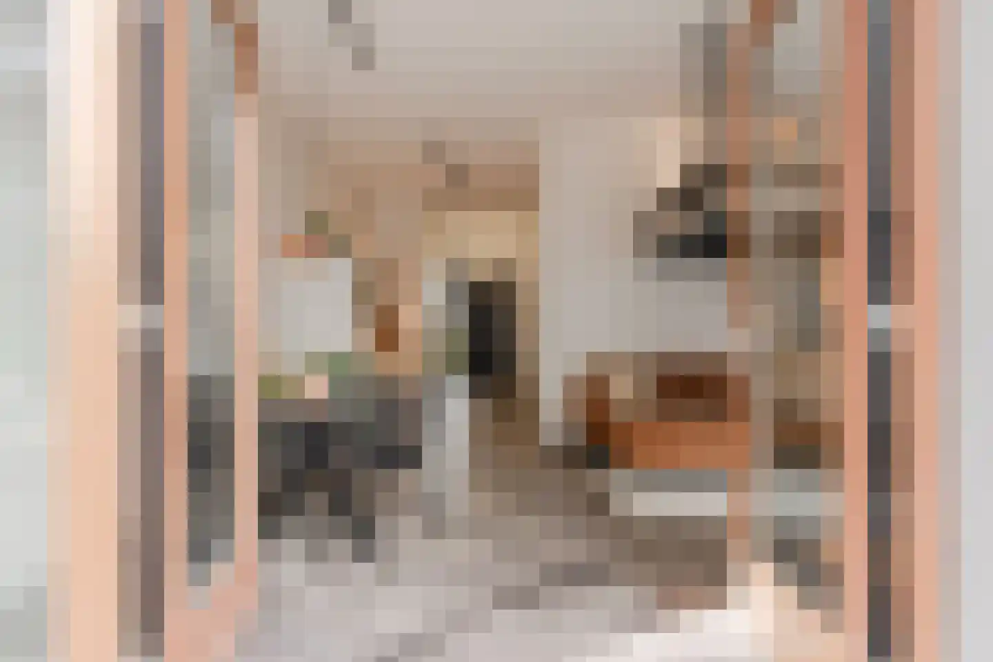 Conny Stuartstraat 3 Amsterdam thumbnail 7