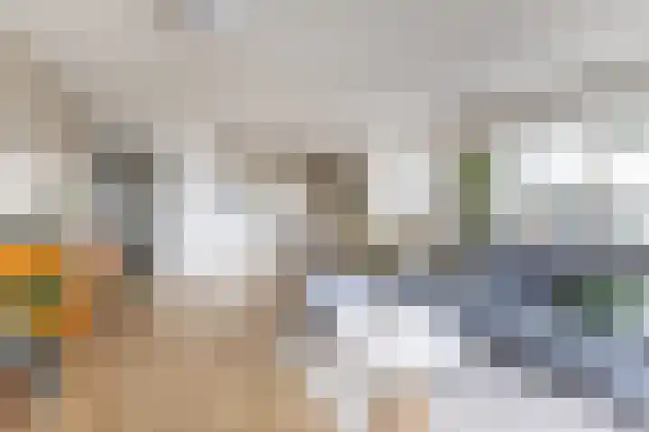 Conny Stuartstraat 41 Amsterdam thumbnail 18