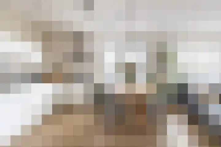 Conny Stuartstraat 41 Amsterdam thumbnail 24