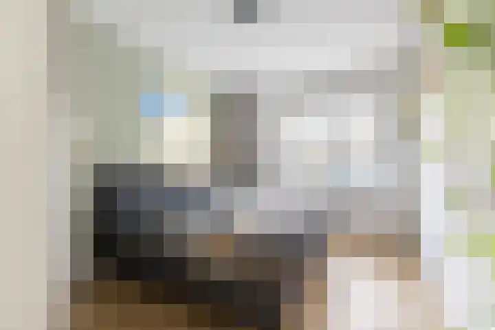 Conny Stuartstraat 41 Amsterdam thumbnail 30