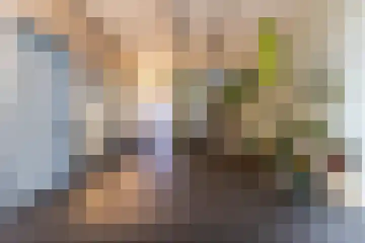 Conny Stuartstraat 41 Amsterdam thumbnail 8
