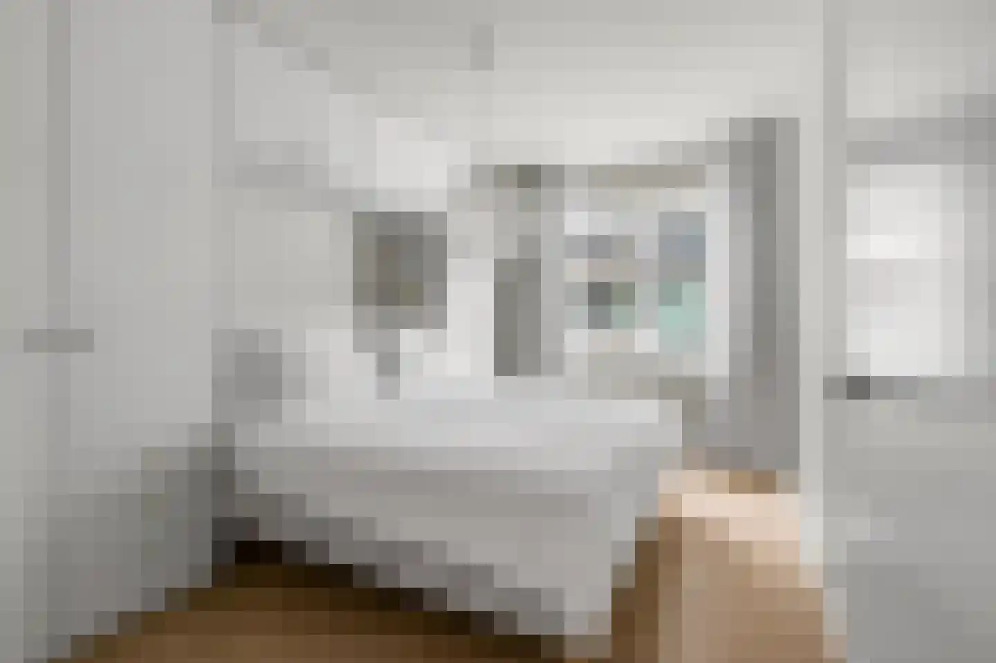 Conny Stuartstraat 5 Amsterdam thumbnail 19