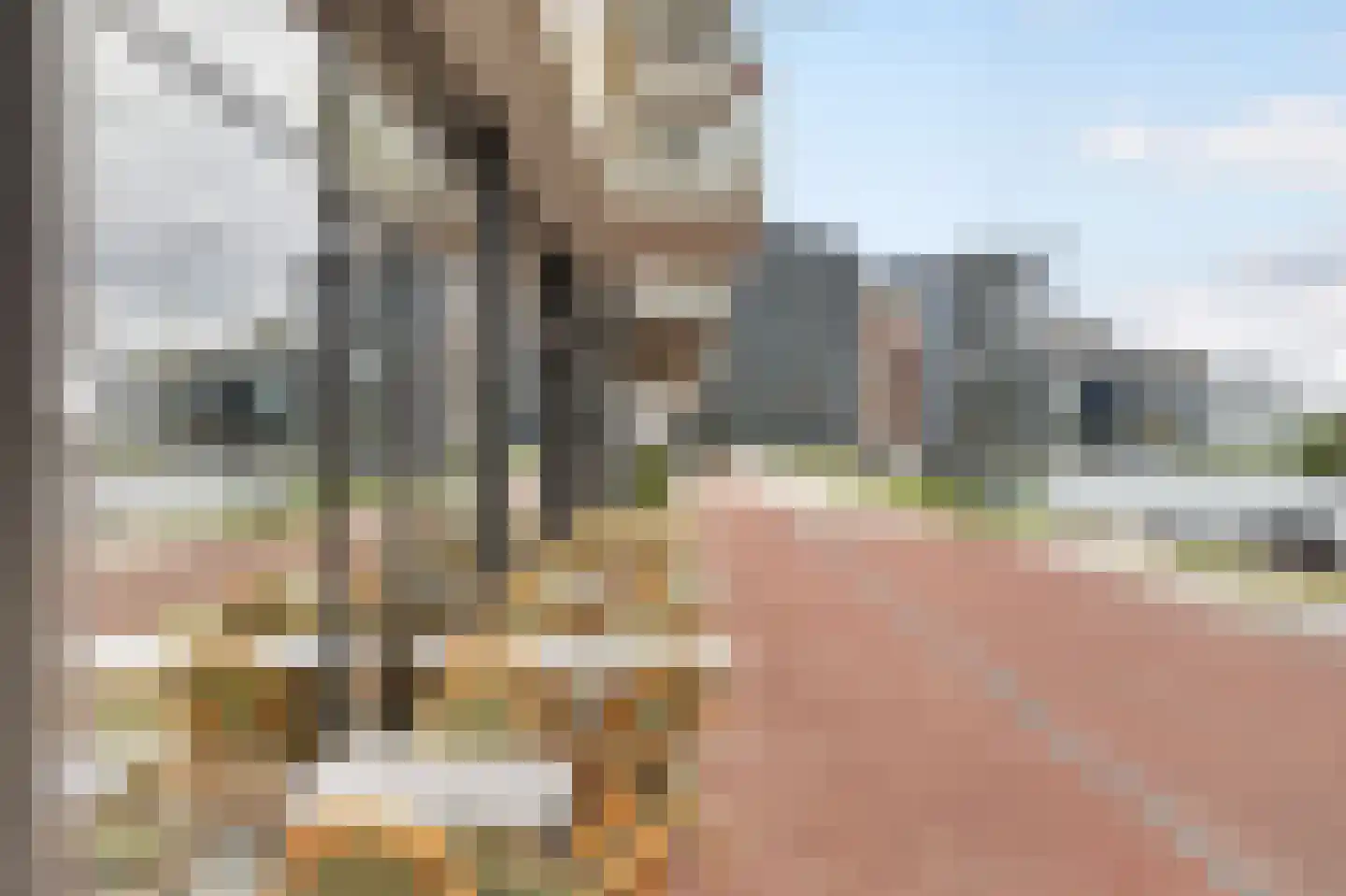Conny Stuartstraat 5 Amsterdam thumbnail 35