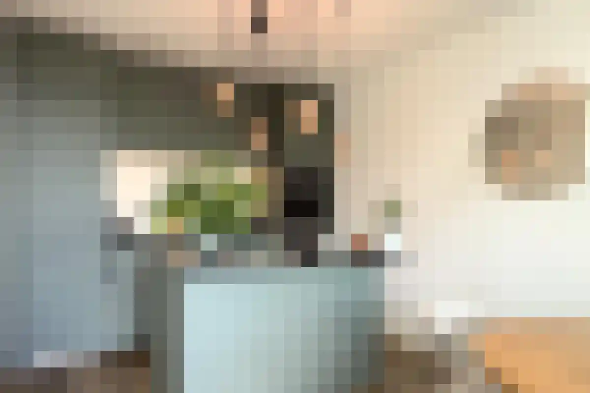 Conny Stuartstraat 56 Amsterdam thumbnail 4