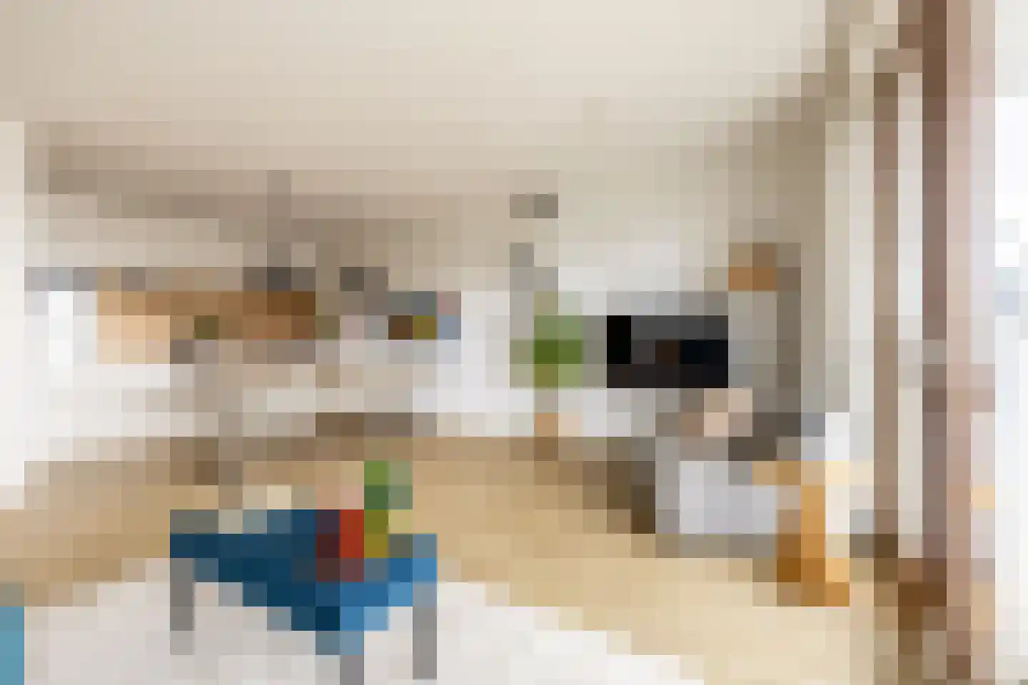 Conny Stuartstraat 61 Amsterdam thumbnail 16