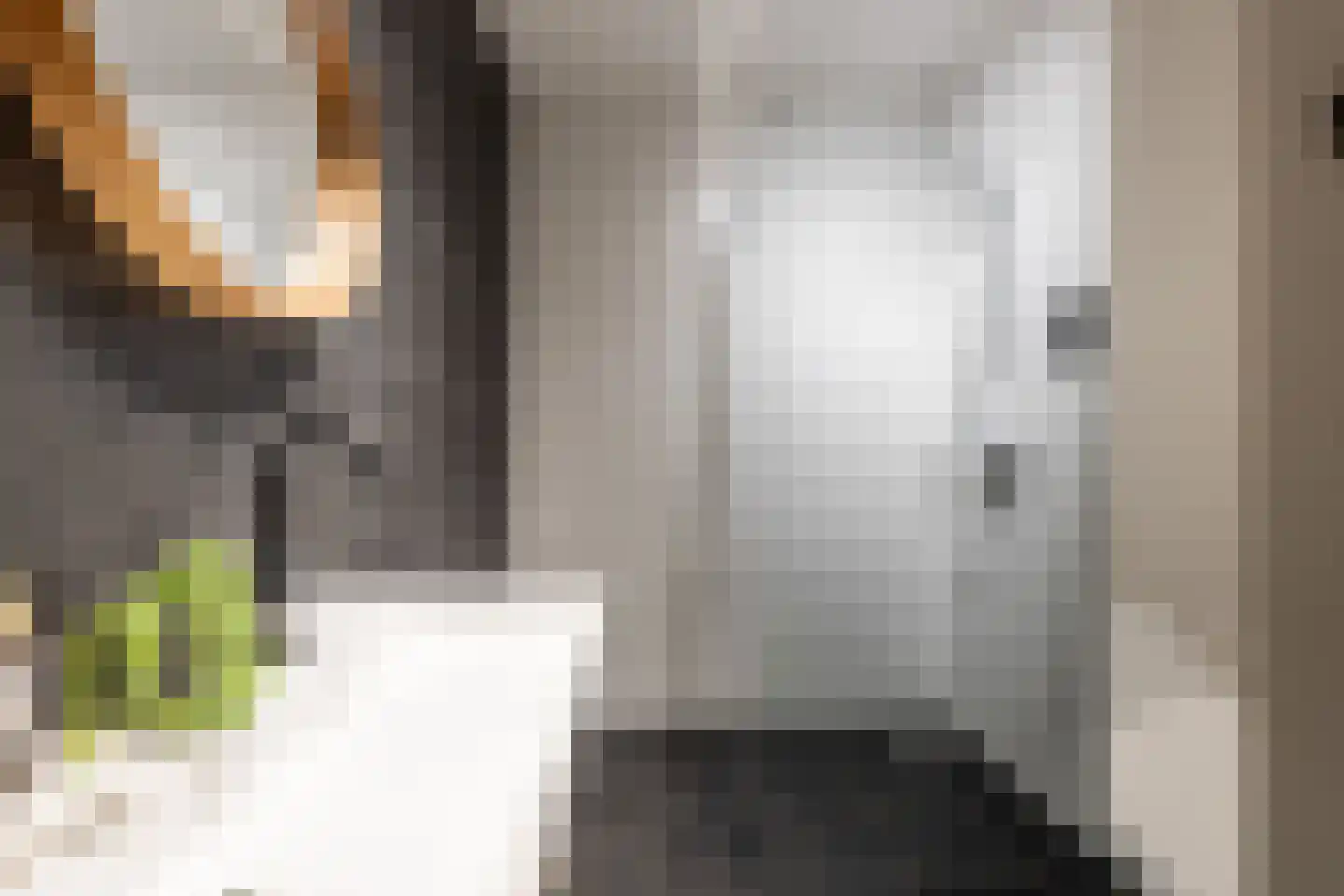Conny Stuartstraat 61 Amsterdam thumbnail 30
