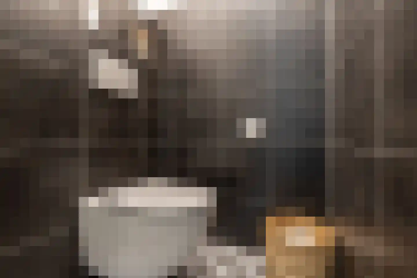 Conny Stuartstraat 61 Amsterdam thumbnail 32