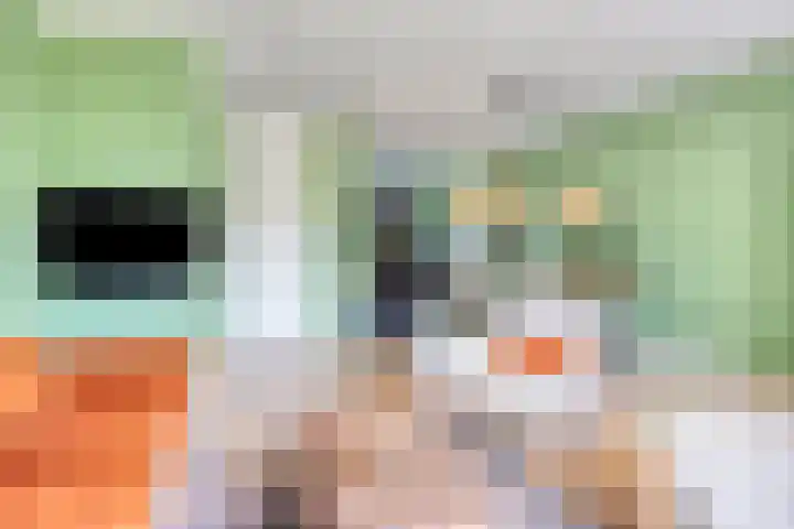 Conraadstraat 14 's-Hertogenbosch thumbnail 7