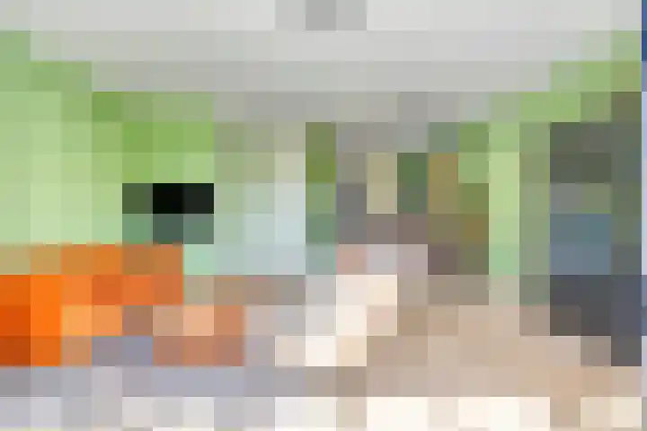 Conraadstraat 14 's-Hertogenbosch thumbnail 9