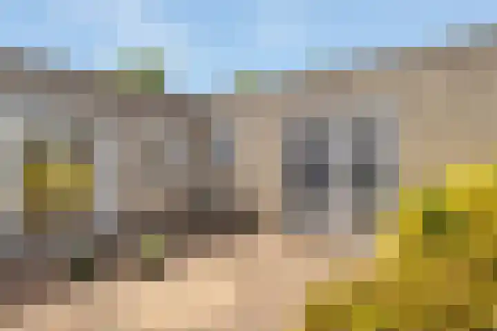 Conrad Busken Huethove 9 Nieuwegein thumbnail 35