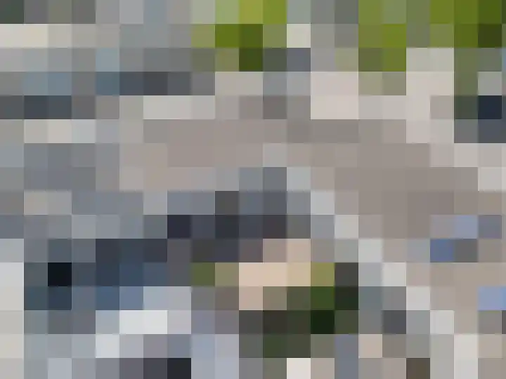 Conrad Busken Huethove 9 Nieuwegein thumbnail 41