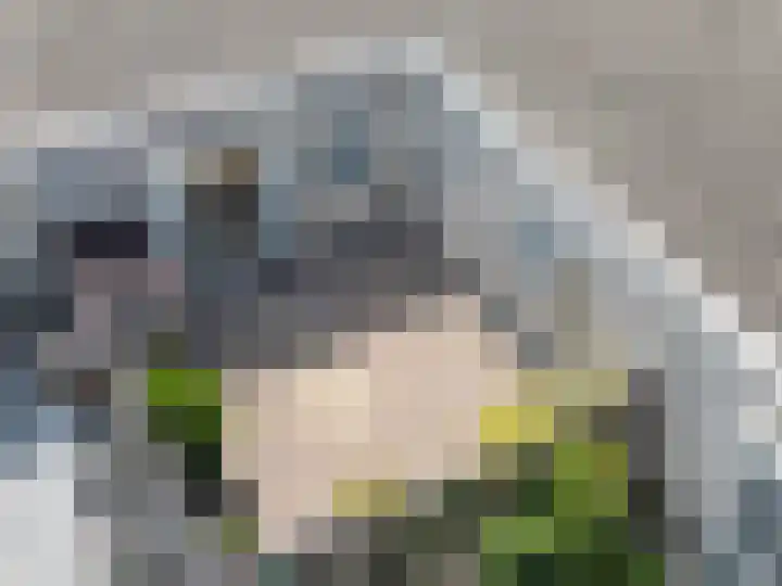 Conrad Busken Huethove 9 Nieuwegein thumbnail 43