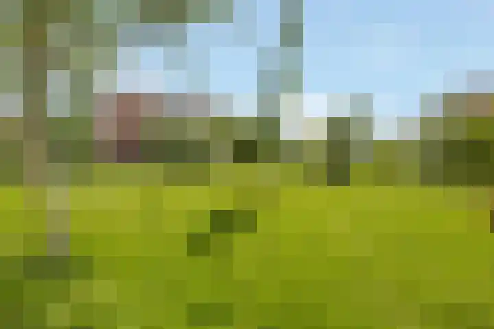 Conrad Busken Huethove 9 Nieuwegein thumbnail 45