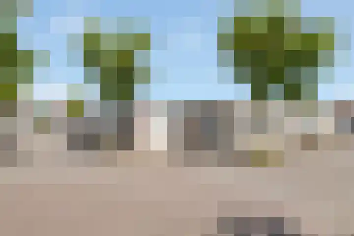 Conrad Busken Huethove 9 Nieuwegein thumbnail 6
