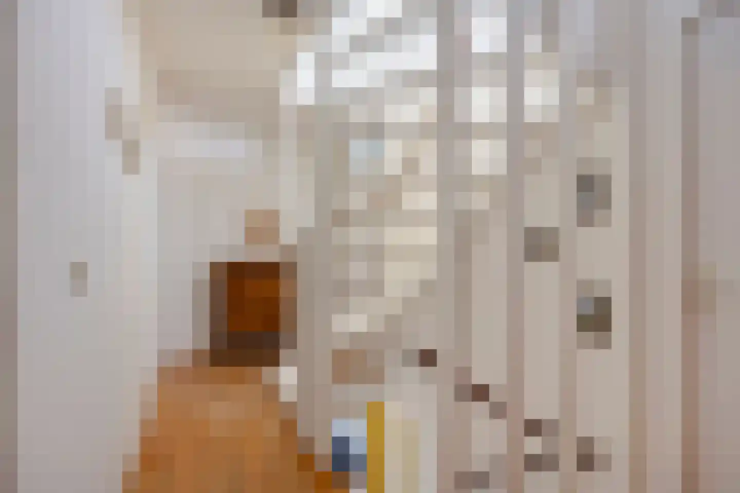 Conradhof 11 Tilburg thumbnail 25