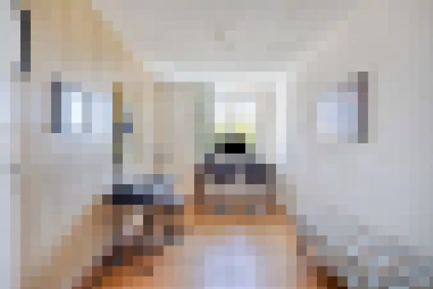 Conradhof 11 Tilburg thumbnail 31