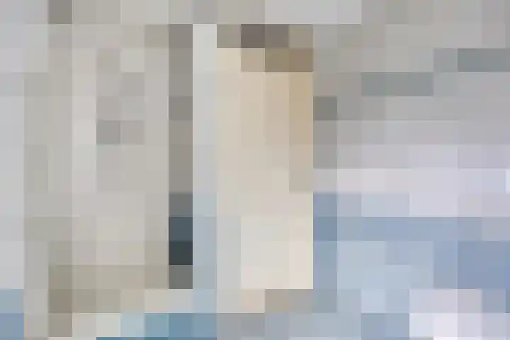 Conradhof 14 Tilburg thumbnail 18