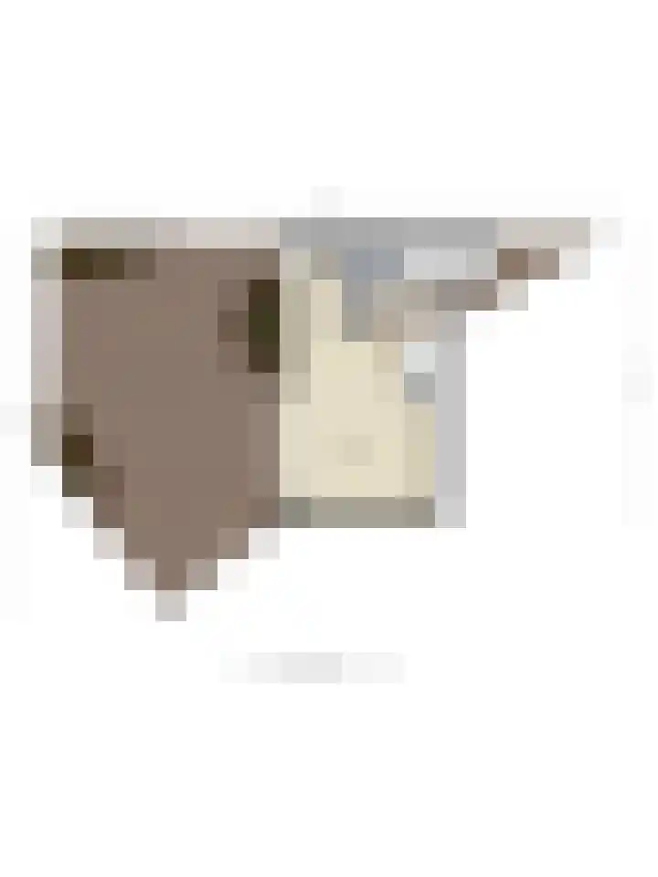 Conradhof 14 Tilburg thumbnail 31