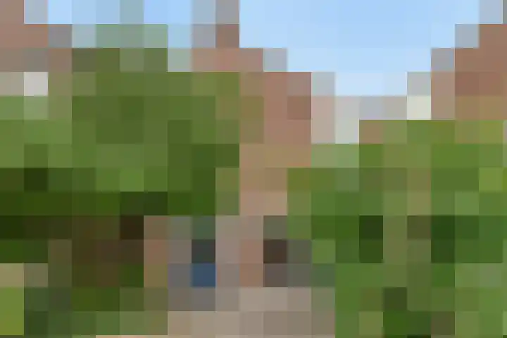 Conradhof 14 Tilburg thumbnail 32
