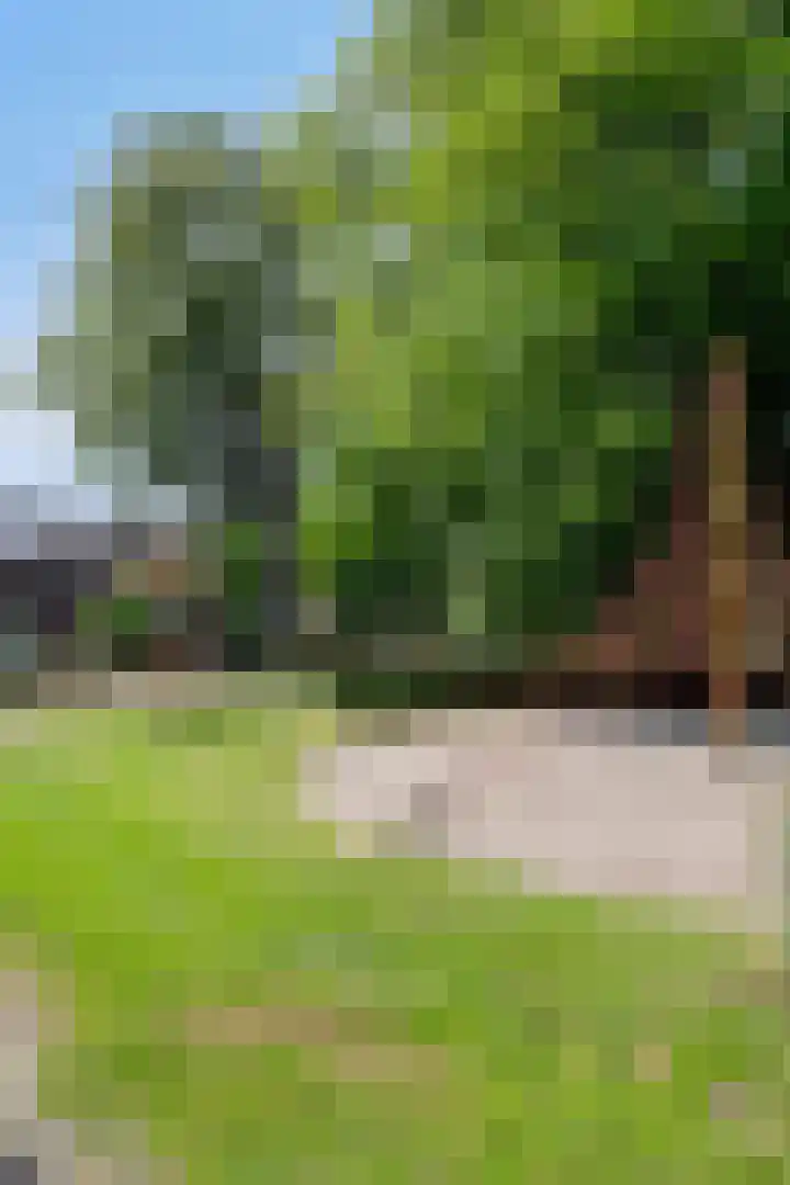 Conradhof 14 Tilburg thumbnail 36