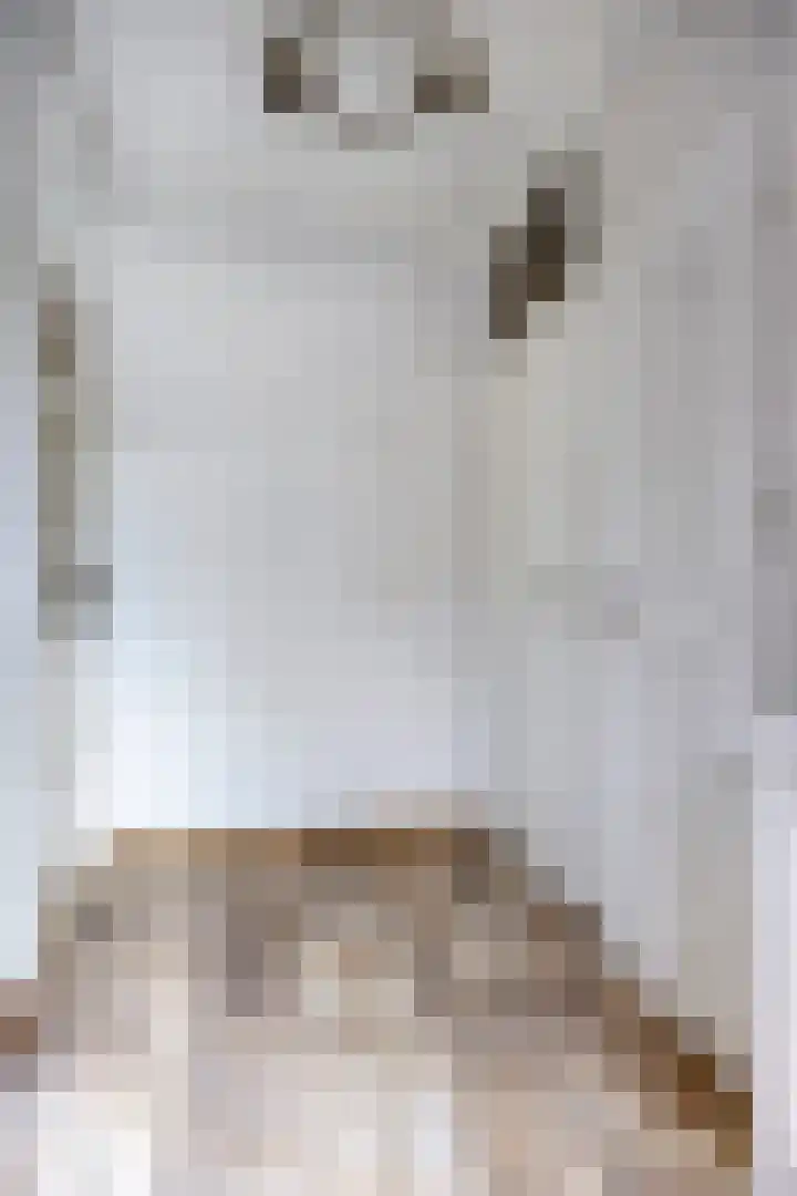Conradhof 14 Tilburg thumbnail 5