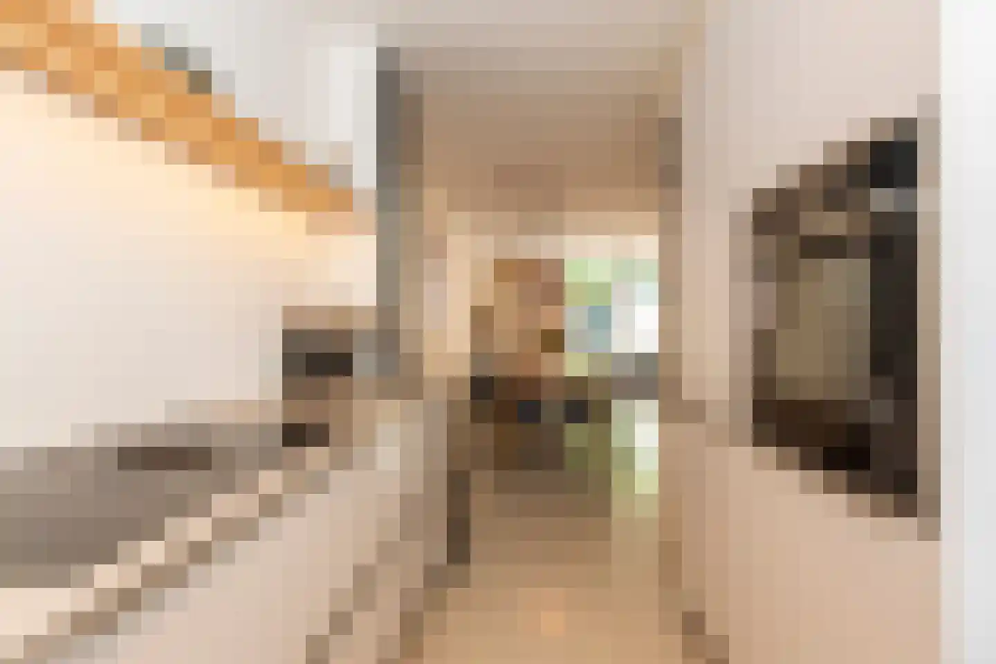 Conradhof 64 Tilburg thumbnail 18