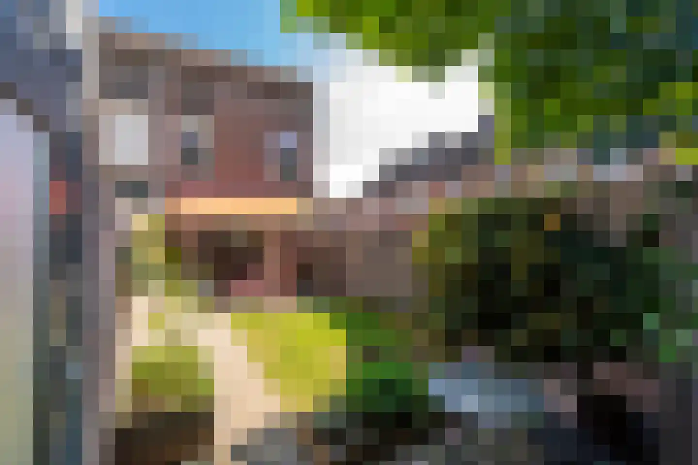 Conradhof 64 Tilburg thumbnail 37