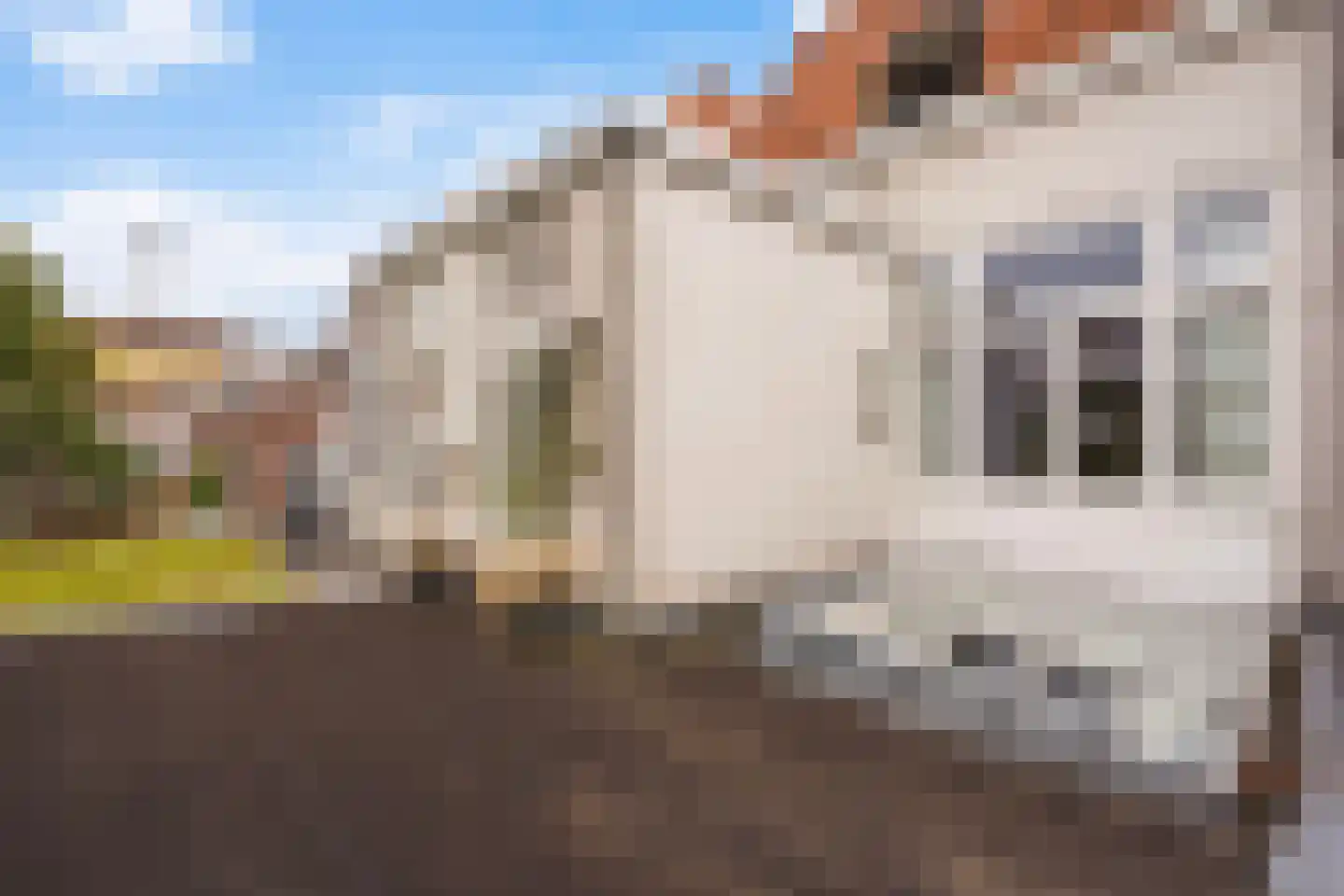 Conradkade 15 Den Haag thumbnail 43