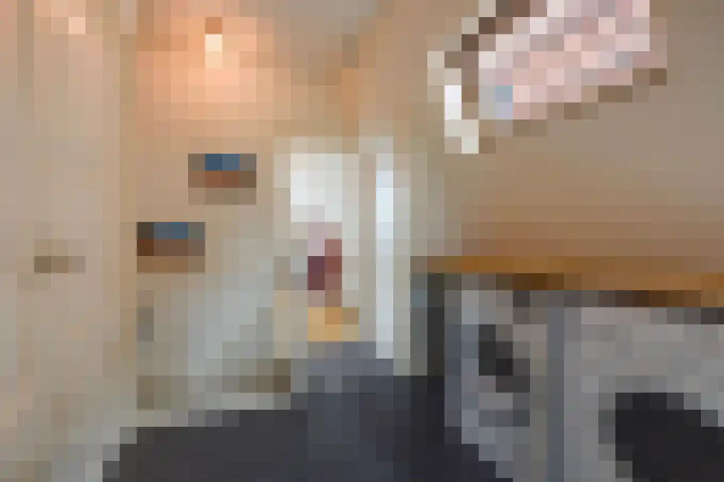 Conradkade 15 Den Haag thumbnail 46