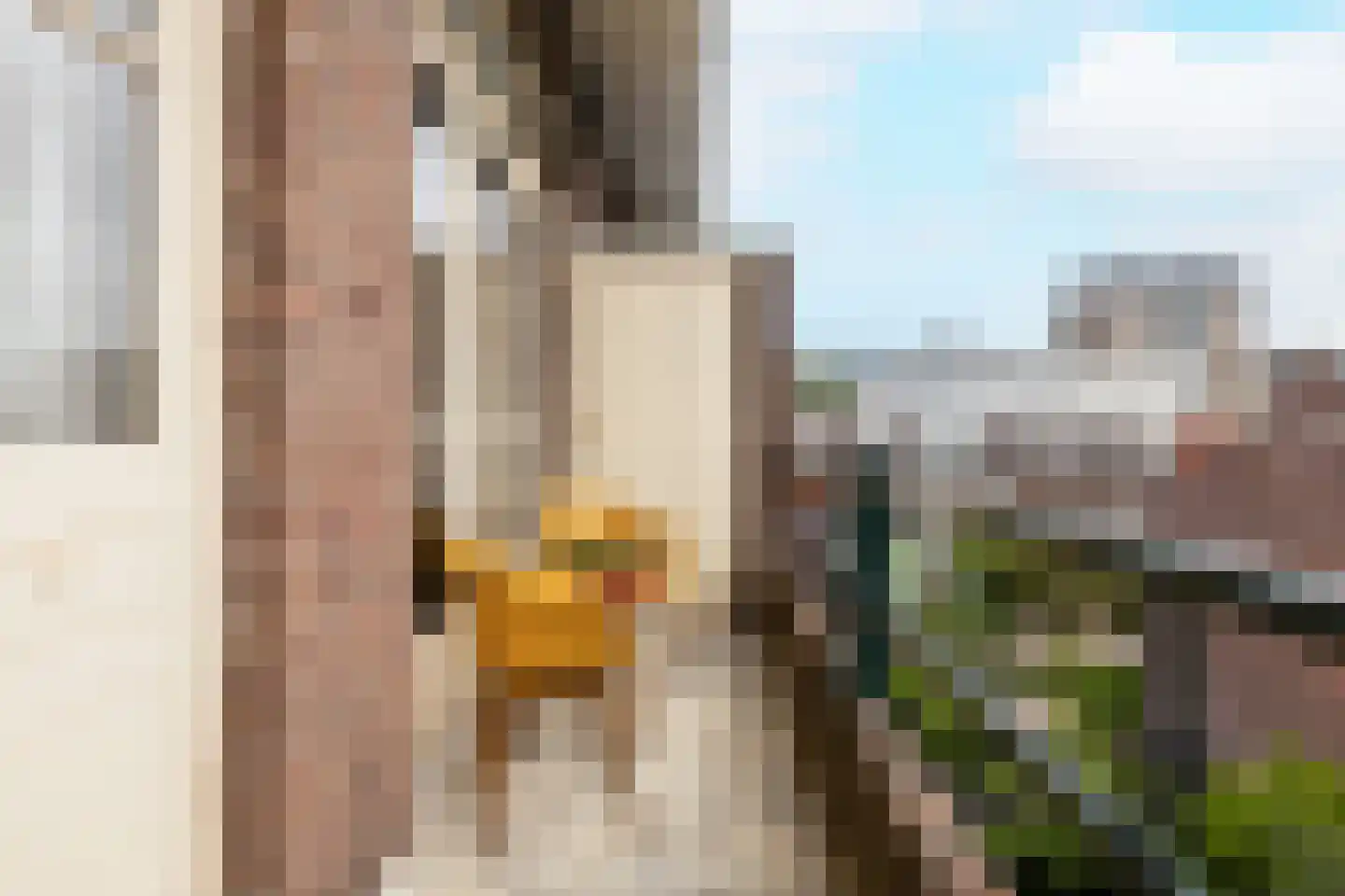 Conradkade 160 Den Haag thumbnail 20