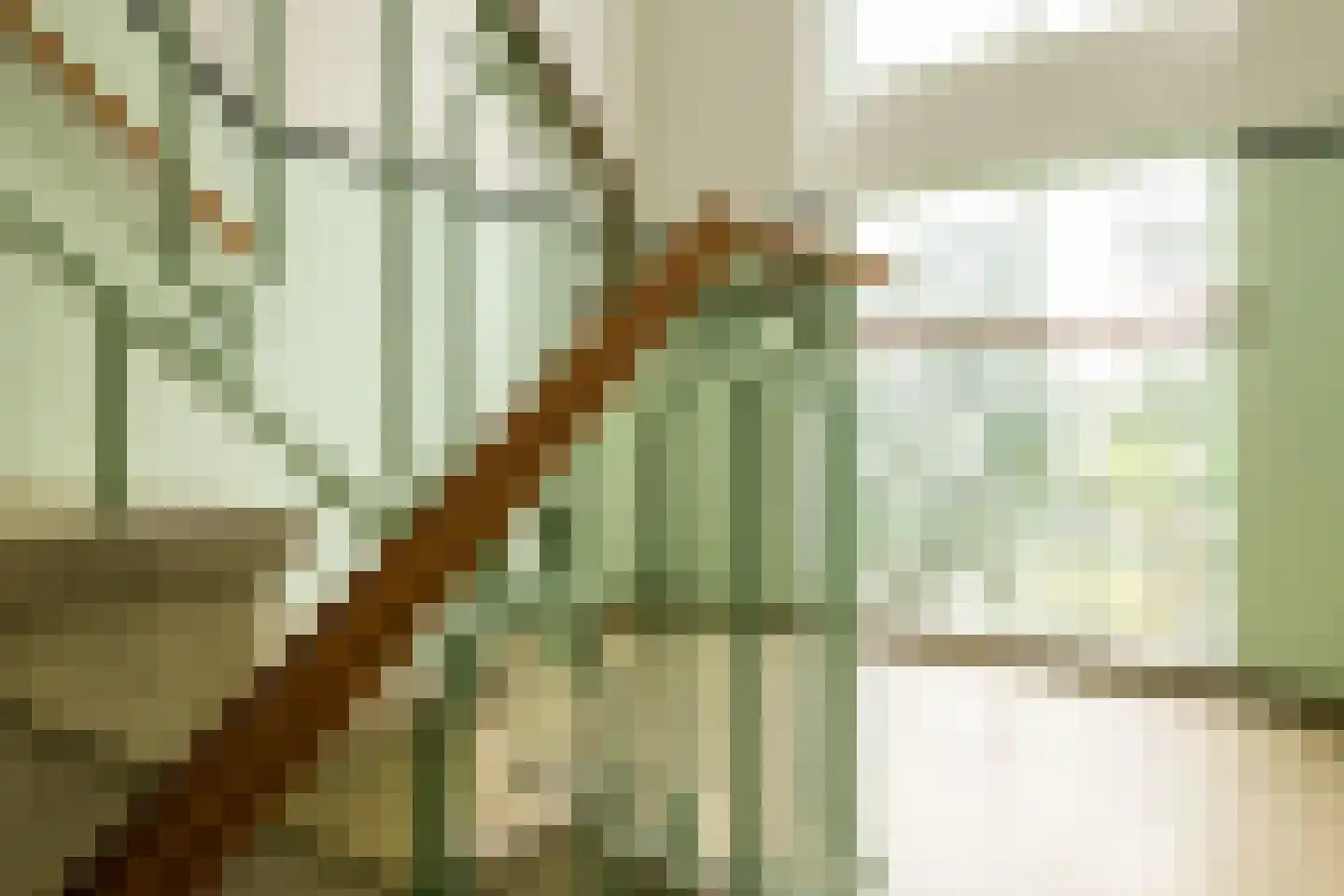 Conradkade 160 Den Haag thumbnail 31